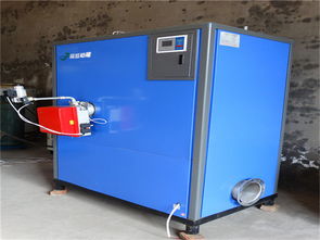 廠家滅菌用燃?xì)庹羝仩t價格 廠家滅菌用燃?xì)庹羝仩t型號規(guī)格