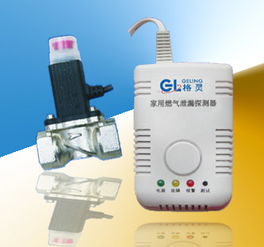 家用燃氣泄漏探測器 一氧化碳報警器專業(yè)制造商歡迎咨詢高清圖片 高清大圖